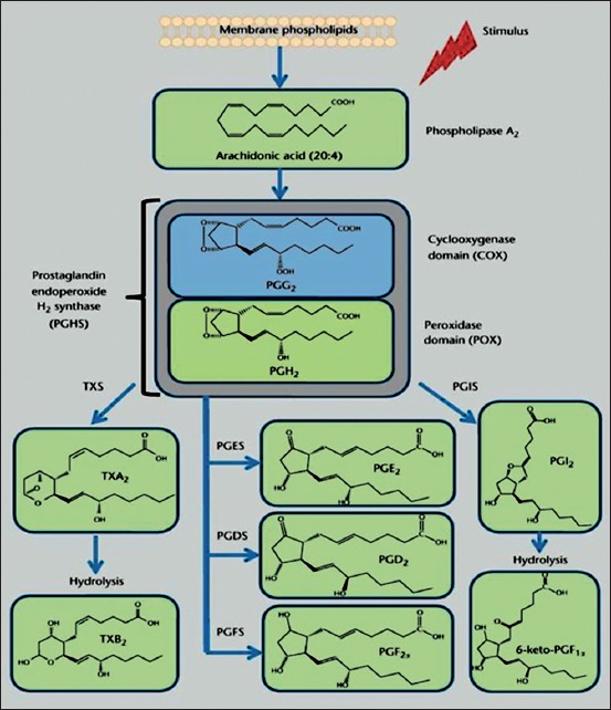 Figure-1