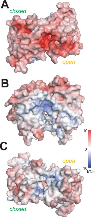 Fig. 6