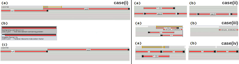 Fig 11