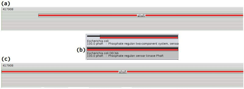 Fig 12