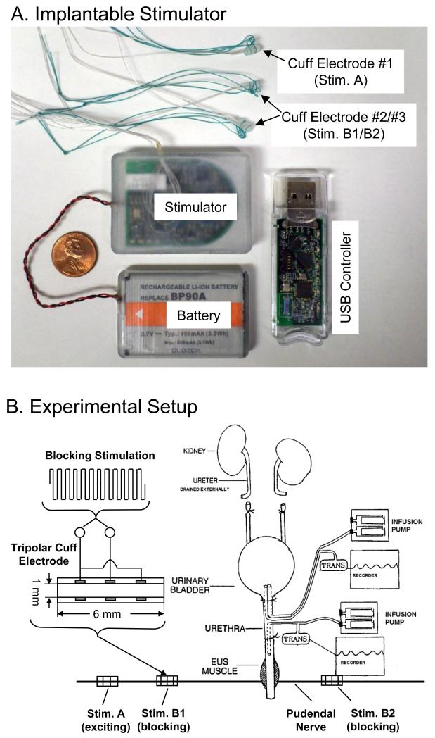 Fig.1