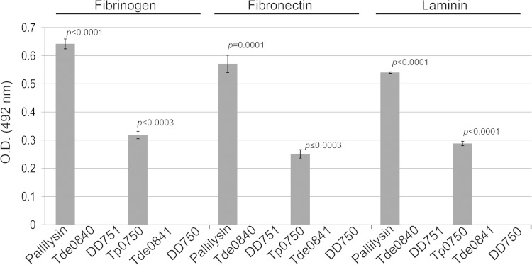 FIG 5