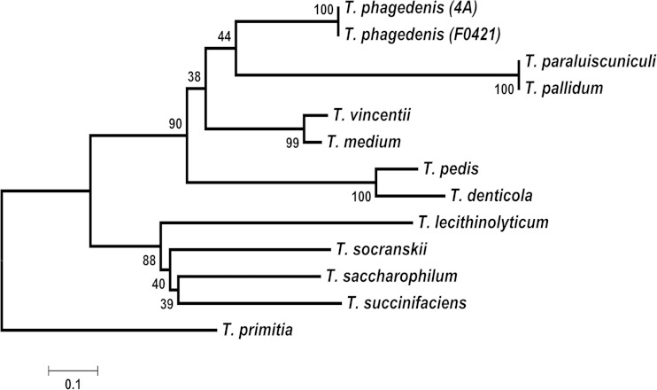 FIG 4