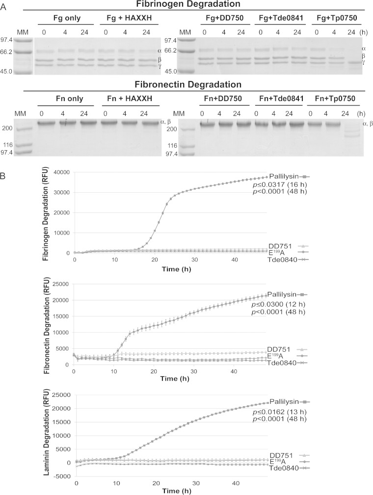 FIG 6