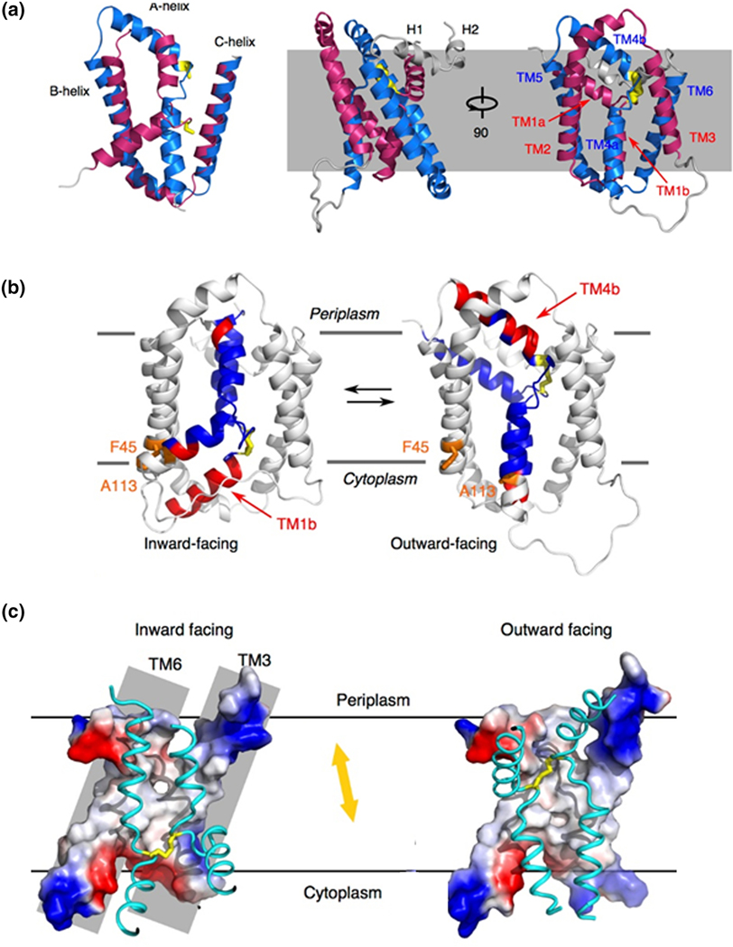 Figure 3.