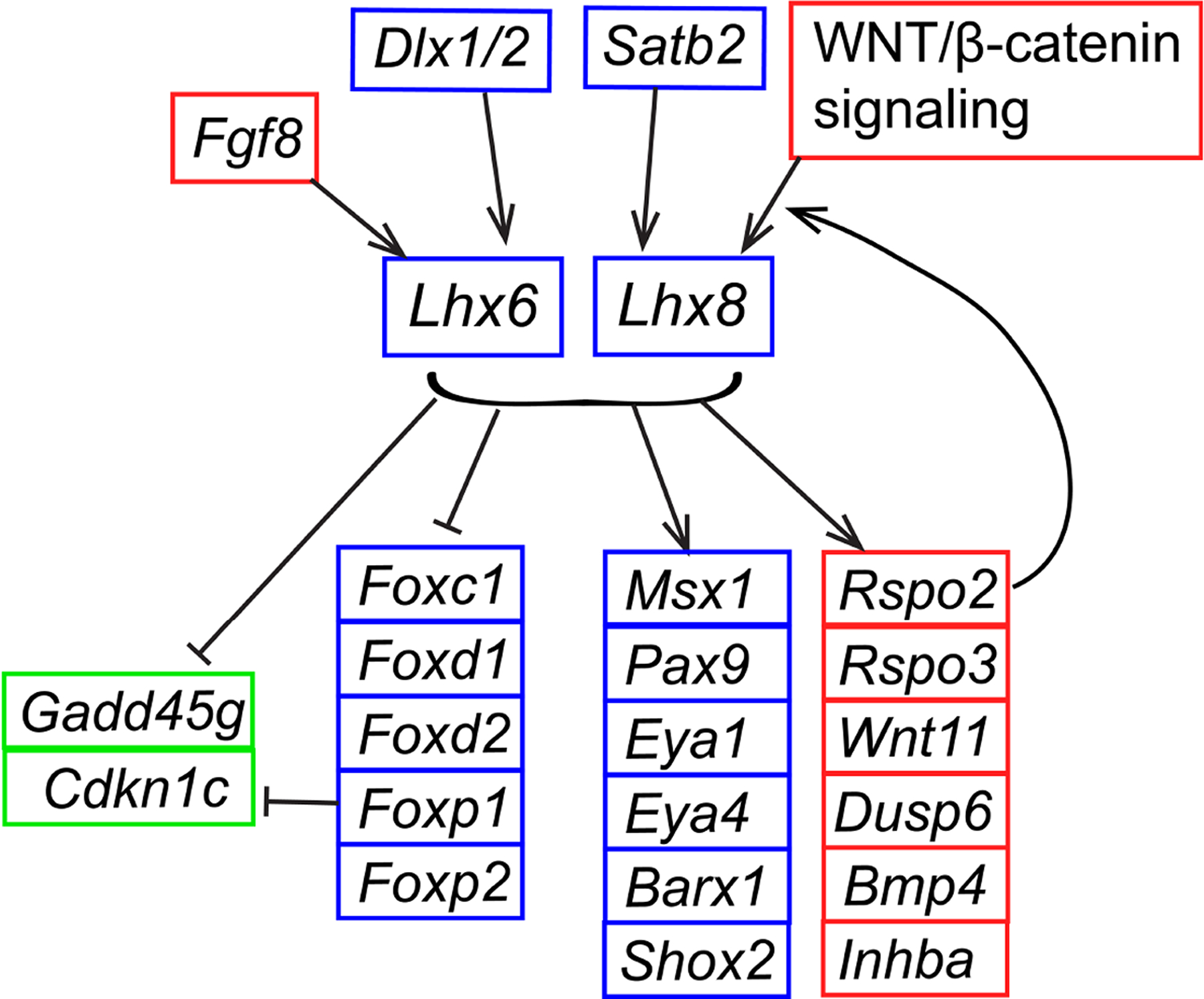 Figure 5.