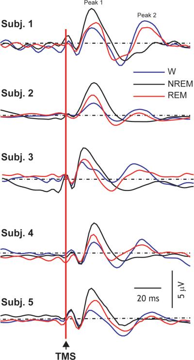 Fig.2