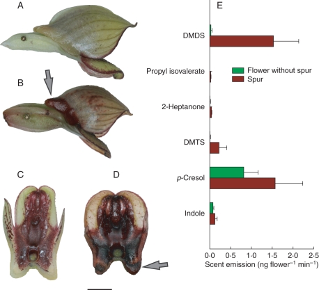 Fig. 4.