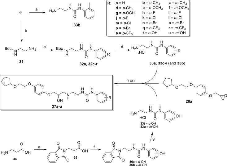 Scheme 3