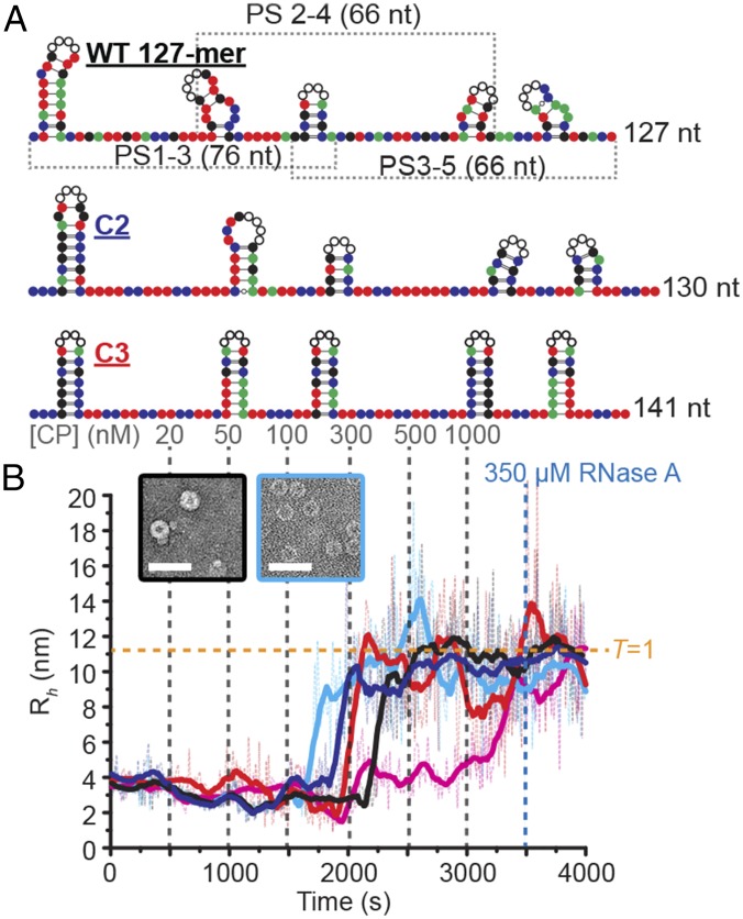 Fig. 4.