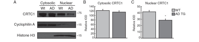 Figure 4.