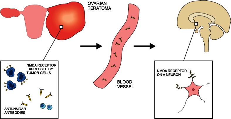 Fig. 2