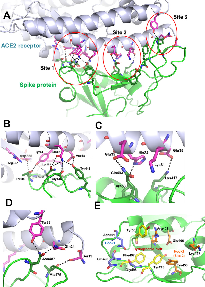 Figure 2