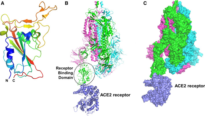 Figure 1