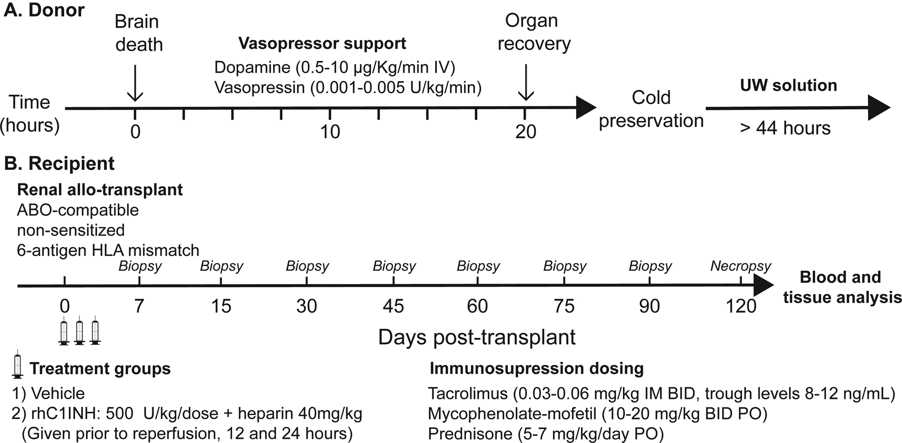 Figure 1: