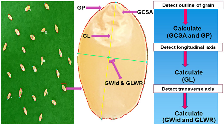 Fig. 2