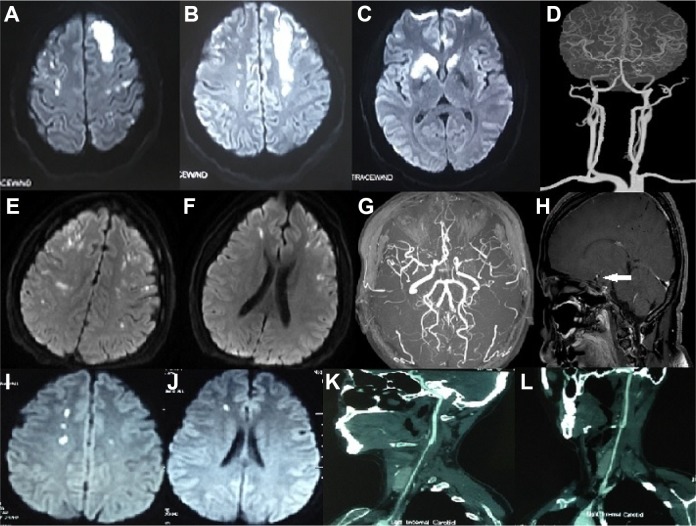 Fig 3.