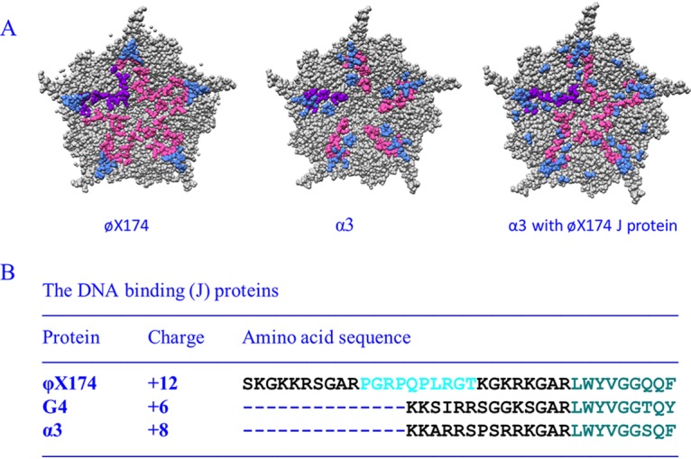 FIG 1