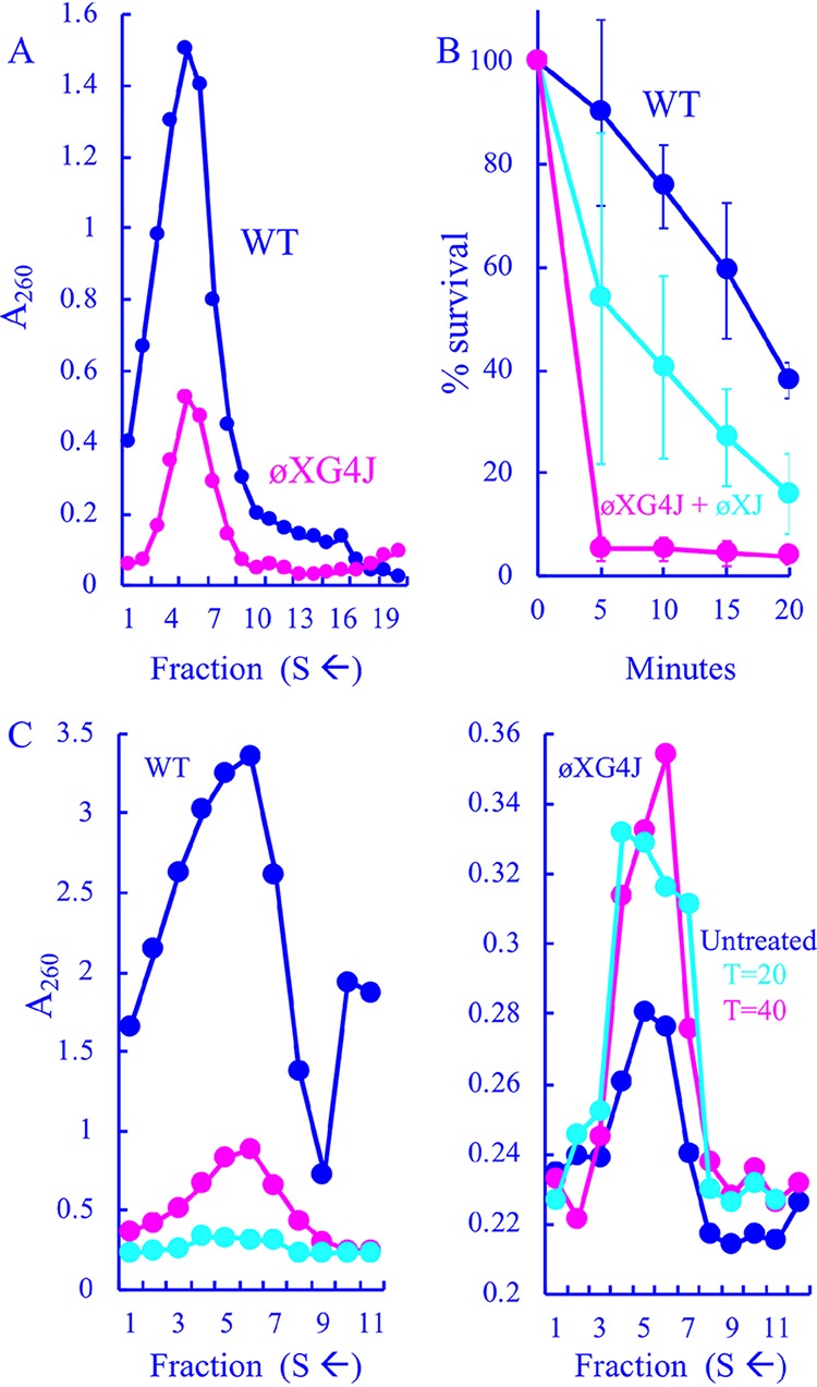 FIG 2