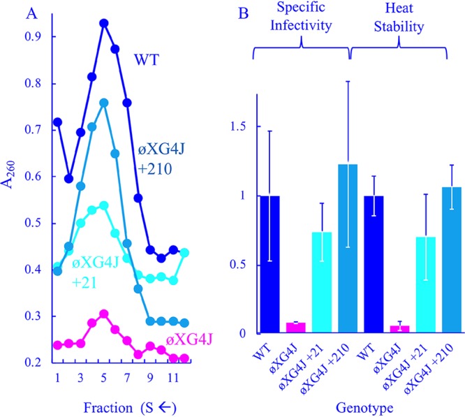 FIG 3