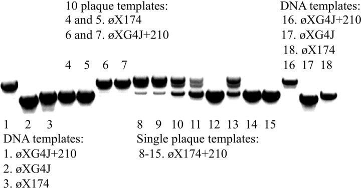 FIG 5