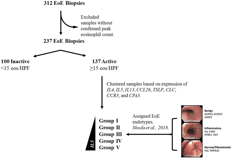 FIG 1: