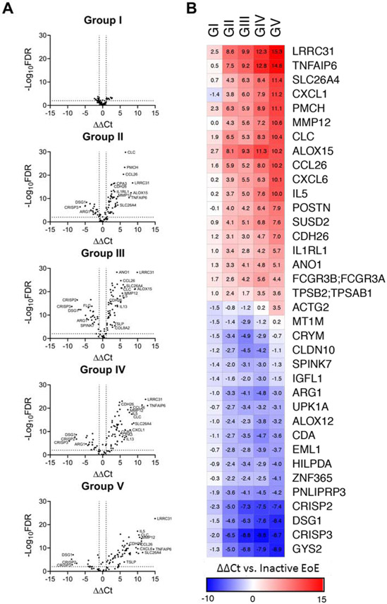 FIG 5: