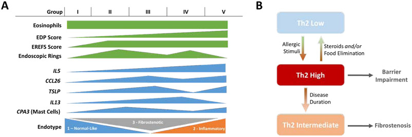 FIG 6: