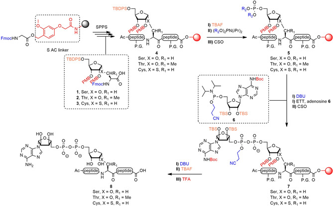 Scheme 1