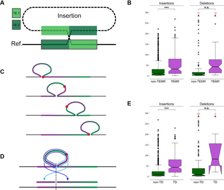 Figure 2: