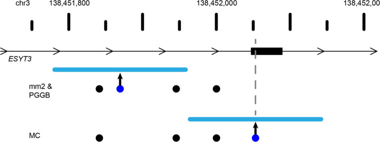 Figure 5: