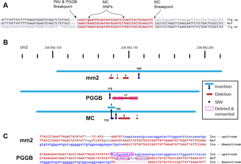 Figure 4: