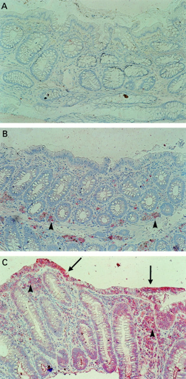 Figure 3  