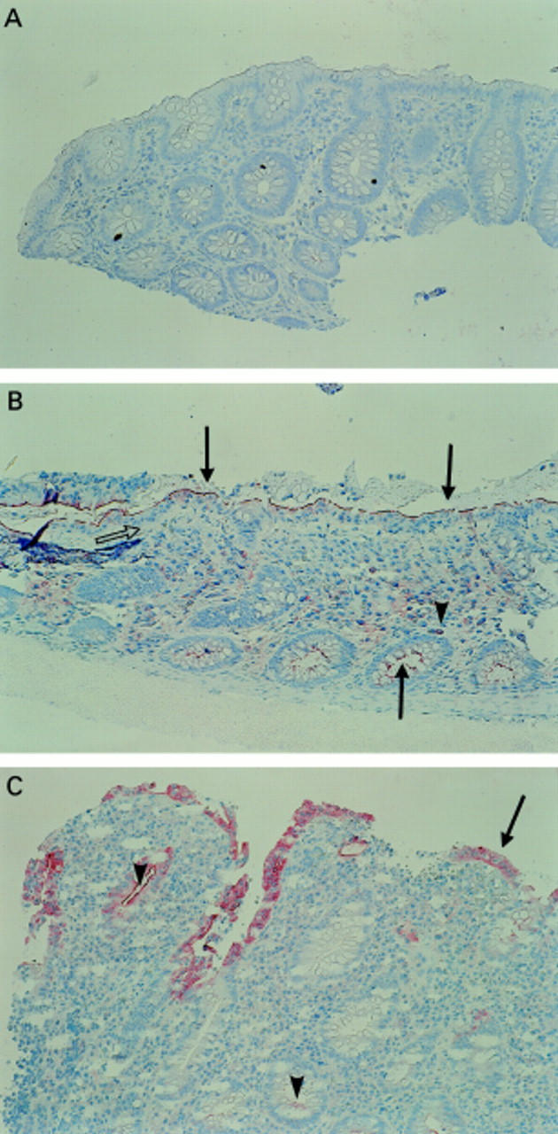 Figure 2  