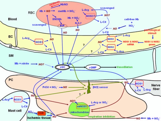 FIG. 2.