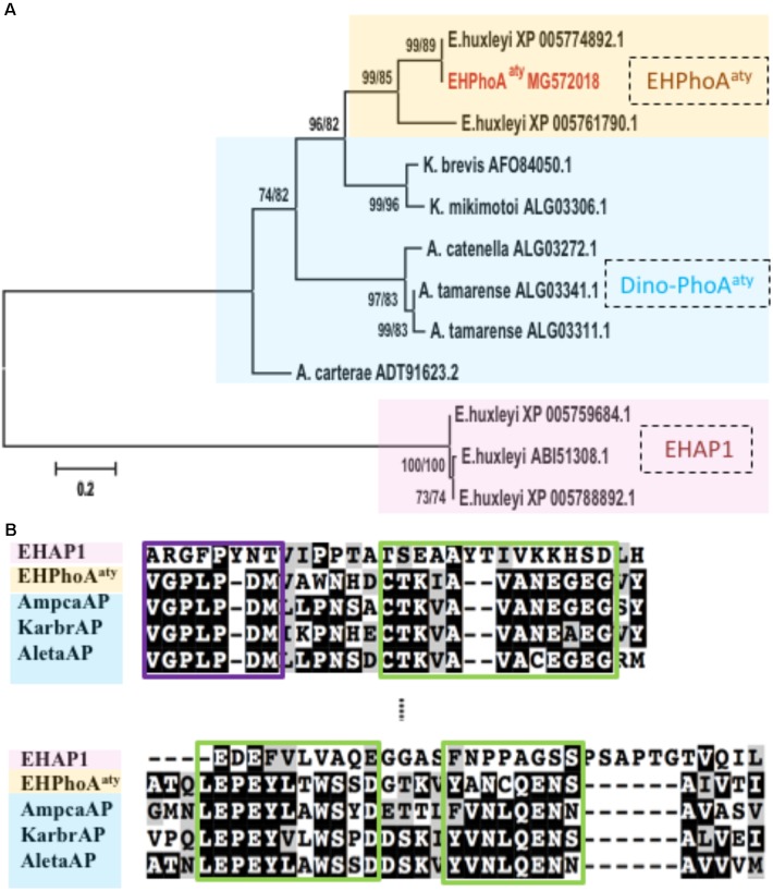 FIGURE 1