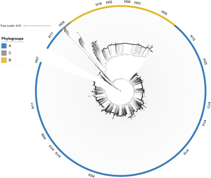 Fig. 1