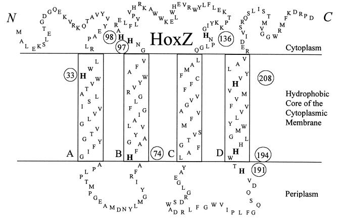 FIG. 1