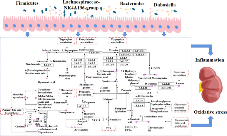 Figure 12