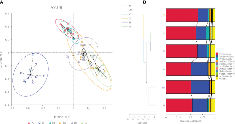 Figure 5