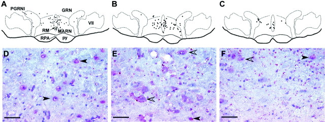 Fig. 5.