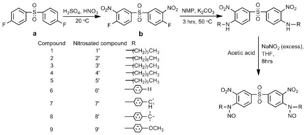 Scheme 1