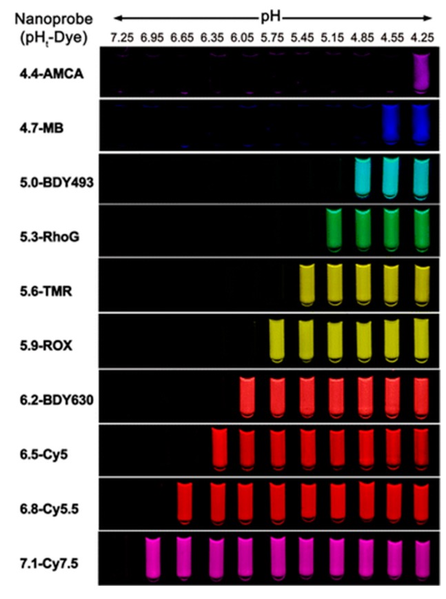 Figure 10