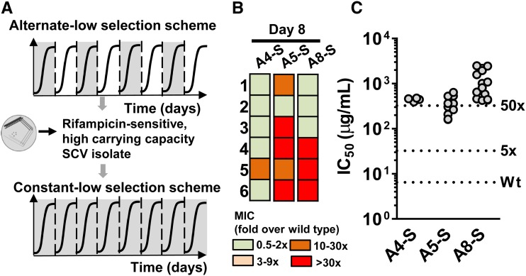 Figure 6