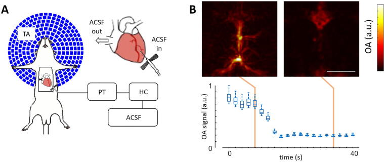 Fig. 2