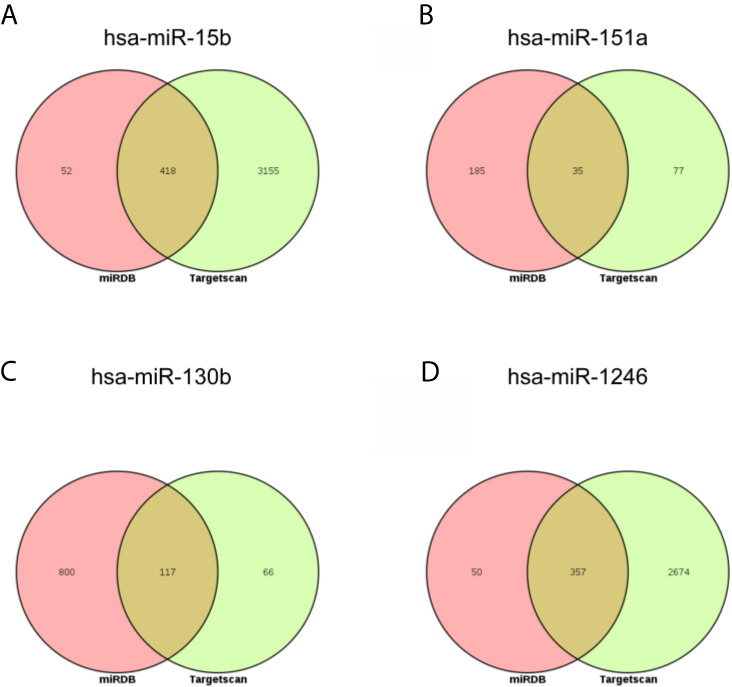 Figure 5