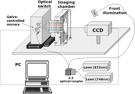 Figure 1.