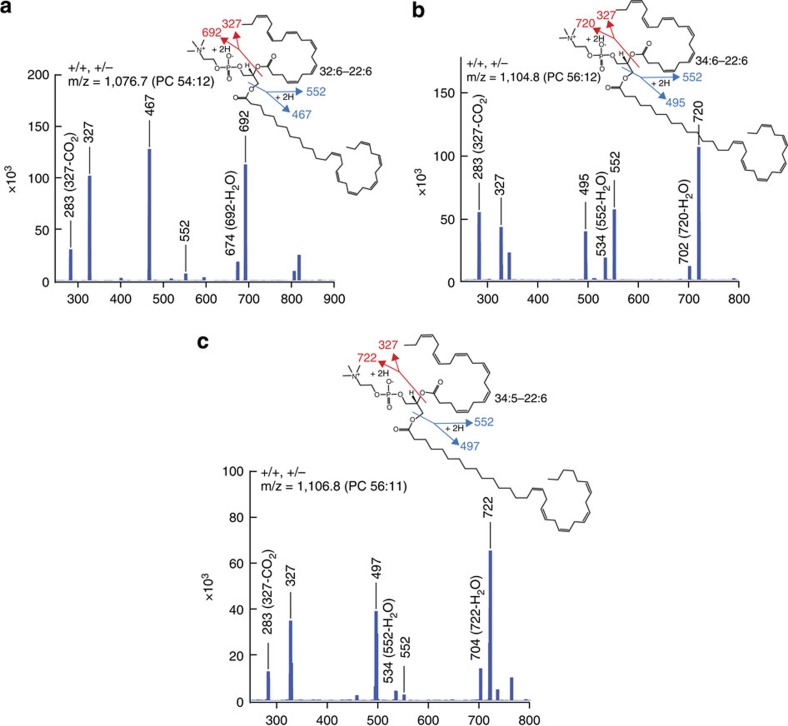 Figure 5