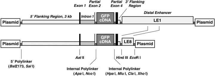 Fig. 9.