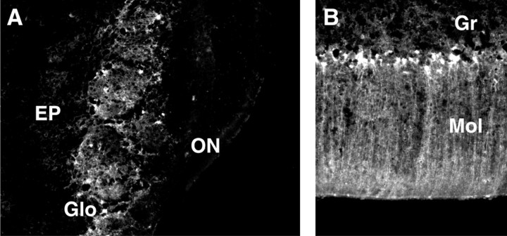 Fig. 10.